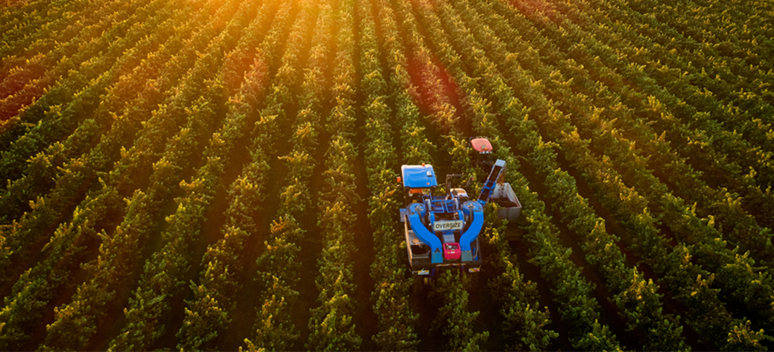 Aerial shot of Duxton vineyard